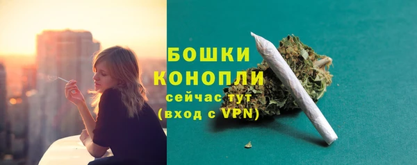 МДПВ Богородицк