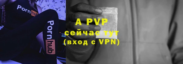ECSTASY Белоозёрский