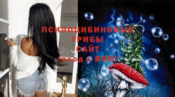 кокс Белокуриха