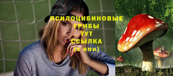 MDMA Богданович